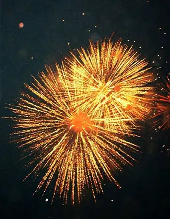 Sivakasi Crackers Shop